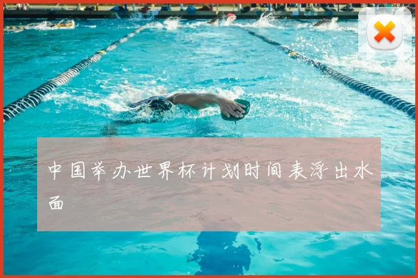 中国举办世界杯计划时间表浮出水面